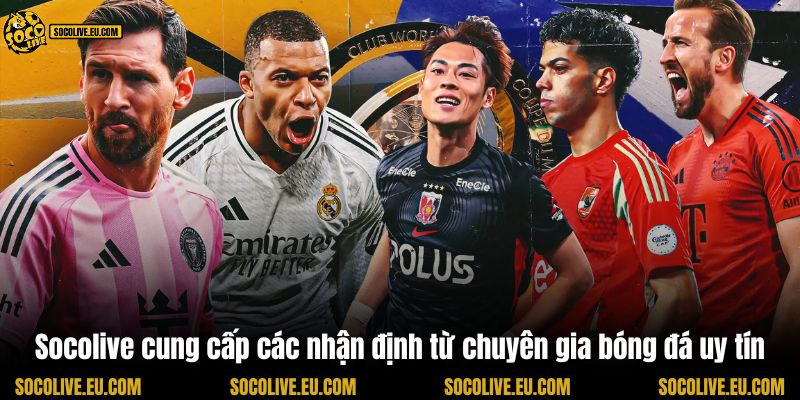 Socolive cung cấp các nhận định từ chuyên gia bóng đá uy tín
